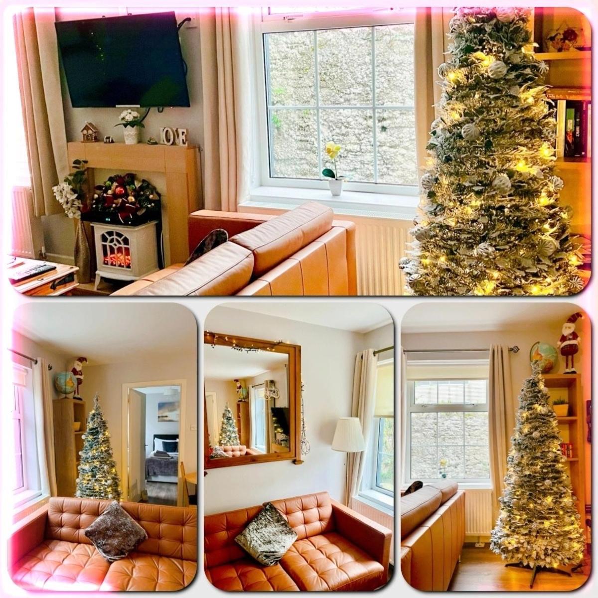 Trinity Apartments Four 1-Bedroom Apts Waterford City Centre Екстер'єр фото